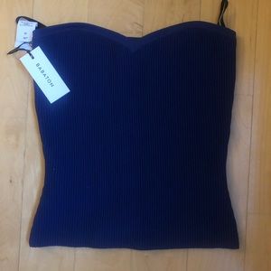 Aritzia Babaton Tube Top